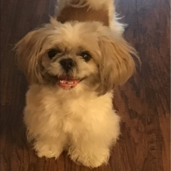 Hello - Picture 2 of 3